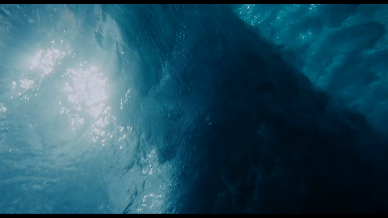 Illustration for article titled Gorgeous Tree of Life stills look like the greatest science epic of all time